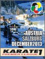 Турнир серии Karate1 - Зальцбург 2013