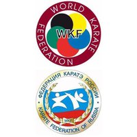 В ногу со временем. Сотрудничество ФКР (WKF) и семи стилевых федераций
