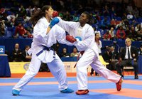 Премьер-лига Karate 1. Париж. Итоги турнира