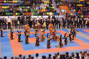Томичи выступили на Открытом региональном Турнире по каратэ (WKF) имени И.Ю. Токарева в г. Кемерово