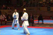 Джуниор Лефевр - Халдун Алагас. Чемпионат мира по каратэ 2002 в Мадриде