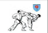 Tshwane Karate Championship 2014