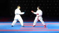 Премьер-лига Karate 1. Ханау, Германия. Итоги турнира