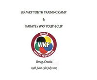 Karate1 Youth Cup. Прямая трансляция