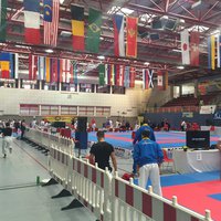 Премьер-Лига Karate1 2016: Зальцбург. Онлайн-трансляция второго дня турнира