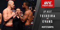UFC on FOX 19: Гловер Тейшейра - Рашад Эванс. Результат и ВИДЕО боя