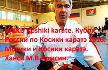 А.Г.Огнивцев: М.В.Крысин. Фрагменты интервью. Кубок России по Косики каратэ 2016.