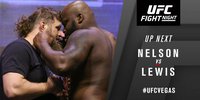 UFC Fight Night 90: Рой Нельсон - Деррик Льюис. Результат и ВИДЕО боя