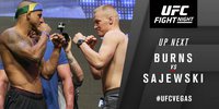 UFC Fight Night 90: Жилберт Бернс - Лукаш Саевски. Результат и ВИДЕО боя