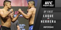 UFC Fight Night 90: Висенте Луке - Альваро Эррера. Результат и ВИДЕО боя