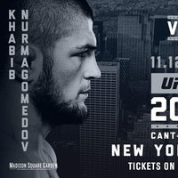Хабиб Нурмагомедов выступит на UFC 205. Соперником россиянина станет Майкл Джонсон