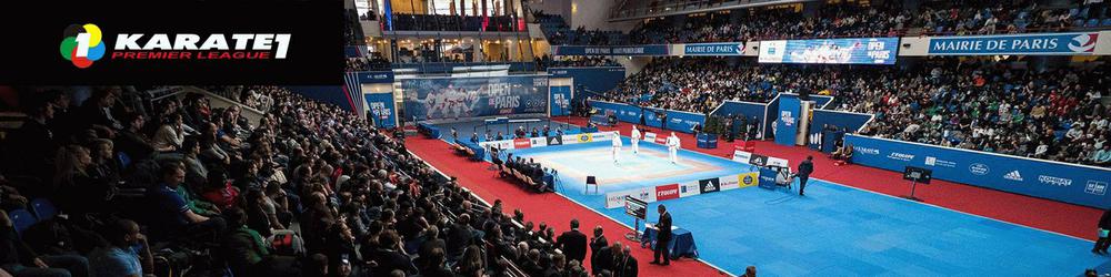 премьер-лига karate1 2017 париж франция
