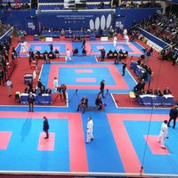 Премьер-Лига Karate1 2017: Open-de-Paris. Успех Ильи Грановесова и ИТОГИ второго дня турнира