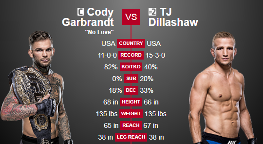 UFC 217: бой Коди Гарбрандт - Ти Джей Диллашоу 