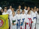 Щёлковские каратисты завоевали девять медалей на соревнованиях в Видном