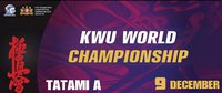 Чемпионат мира по киокусин каратэ KWU 2017. Прямая онлайн-трансляция