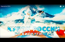 Кубок России по киокусинкай  2017 в Камчатском крае