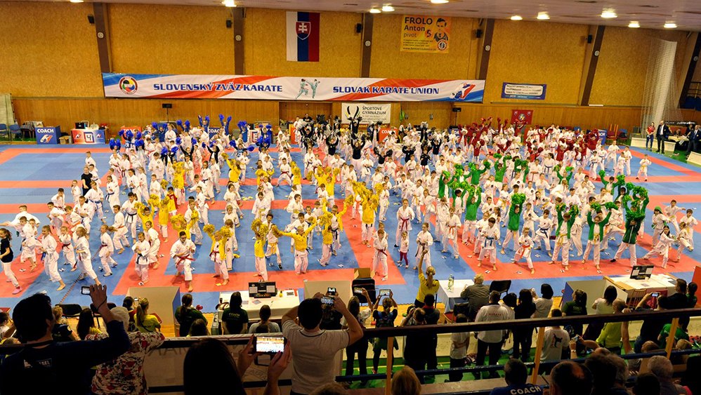 Национальный день каратэ в Словении 2017