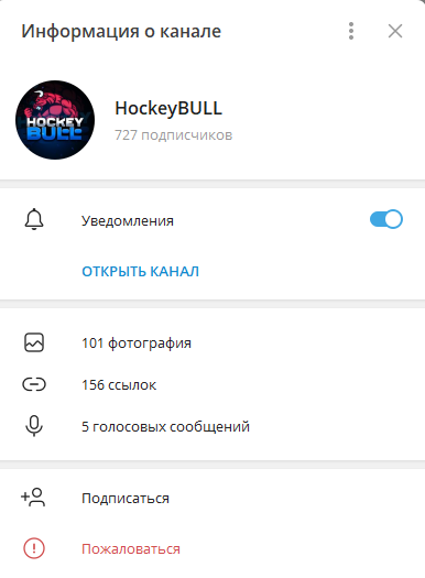 hockeybull