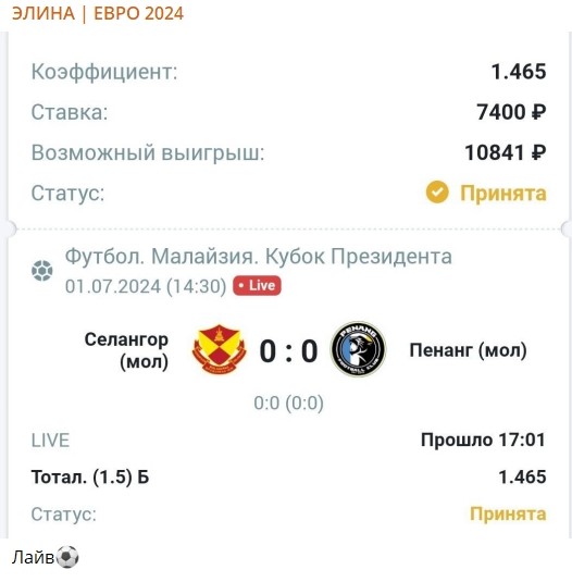 Элина Евро 2024