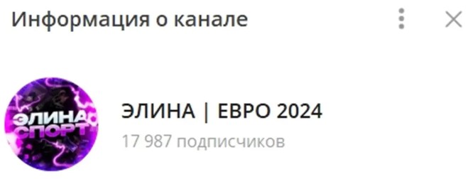 Элина Евро 2024