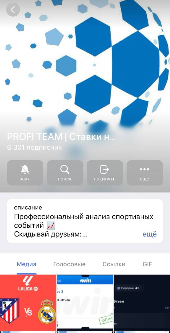 Profi Team