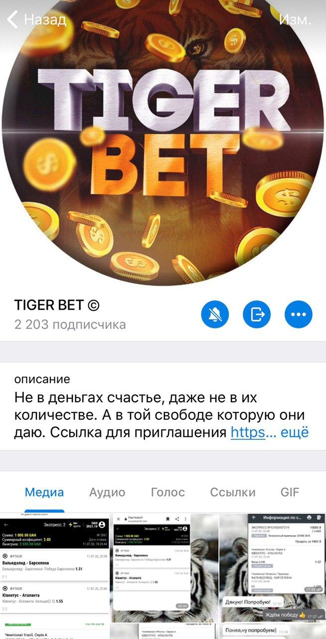 каппер Tiger Bet