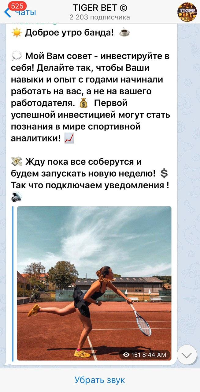 Телеграмм канал Tiger Bet