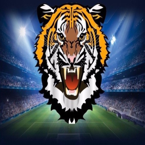 Tiger Bet
