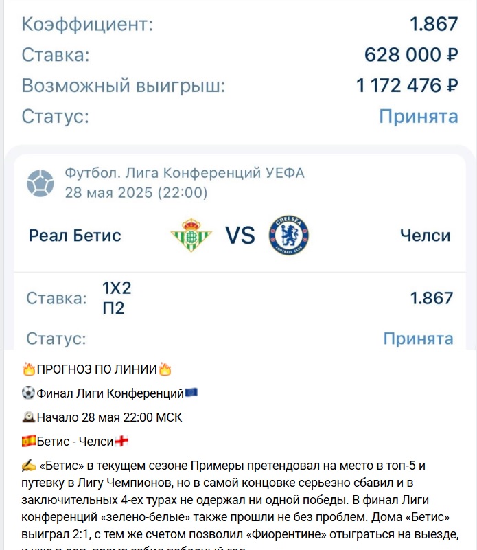 Money Bear каппер