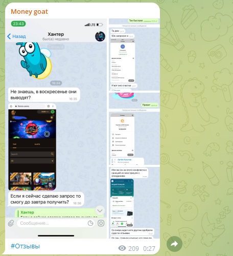 обзор Money goat