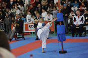  Первый международный турнир «Nikon Karate Open»