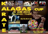 Международный турнир Alagas Cup 2013 по каратэ WKF