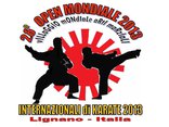 28-й Международный турнир Lignano Karate Open 2013