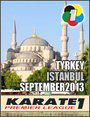 Турнир серии Karate1 - Стамбул 2013