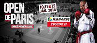 В Париже завершается первый этап Премьер-лиги Karate1