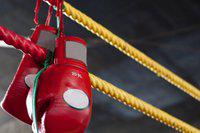 Десять российских боксеров примут участие в турнире AIBA Pro Boxing