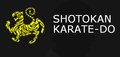 Нижегородская региональная федерация Шотокан каратэ-до