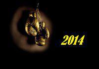 Обзор и подведение итогов боксерского 2014 года