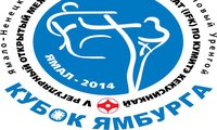 Чемпионат по кумитэ кекусинкай "Кубок Ямбурга"