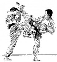 Особенности тренировок в киокусин-каратэ
