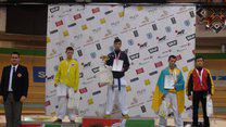 11-й Международный турнир по каратэ "Sanker Cup 2015", г. Минск, 3-4 октября 2015 г.