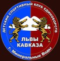 Детский спортивный клуб единоборств "Львы Кавказа"