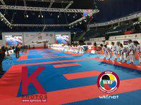 Чемпионат Европы по каратэ WKF 2015. Послесловие