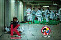 Премьер-Лига Karate1 2015: Сан-Паулу. Прямая трансляция второго дня