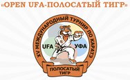 Open UFA - Полосатый тигр 2016