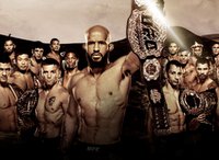 UFC The Ultimate Fighter 24 Finale: Деметриус Джонсон - Тим Эллиот. Прямая онлайн-трансляция турнира