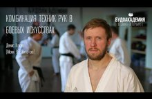 Комбинация техник рук в боевых искусствах. Денис Клюев