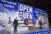 Open-Ufa Полосатый тигр 2016