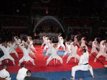 В Брянске прошел фестиваль боевых искусств